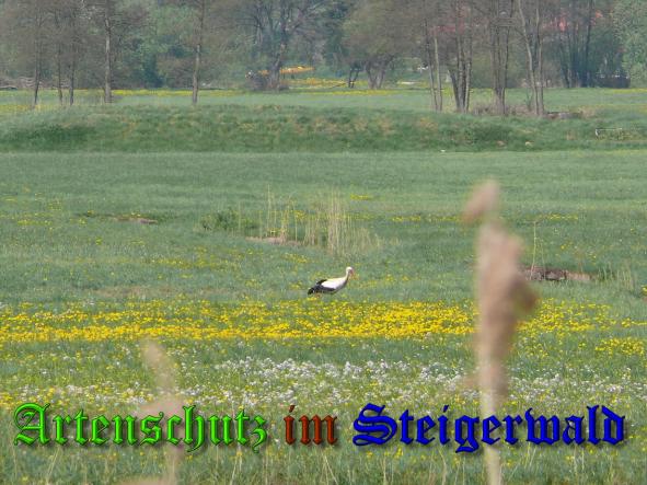 Bild zum Eintrag (36992-160)