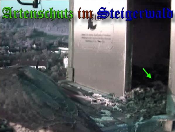 Copyright AiS-Wörner Bild zum Eintrag (37014-160)