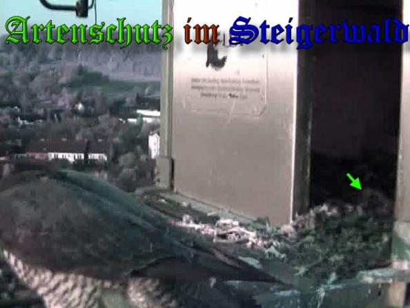 Copyright AiS-Wörner Bild zum Eintrag (37015-160)