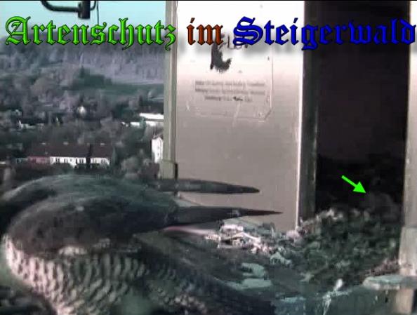 Copyright AiS-Wörner Bild zum Eintrag (37016-160)