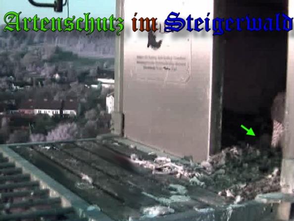 Copyright AiS-Wörner Bild zum Eintrag (37018-160)