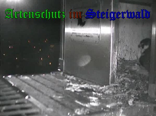 Copyright AiS-Wörner Bild zum Eintrag (37313-160)