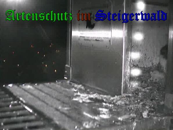 Copyright AiS-Wörner Bild zum Eintrag (37314-160)