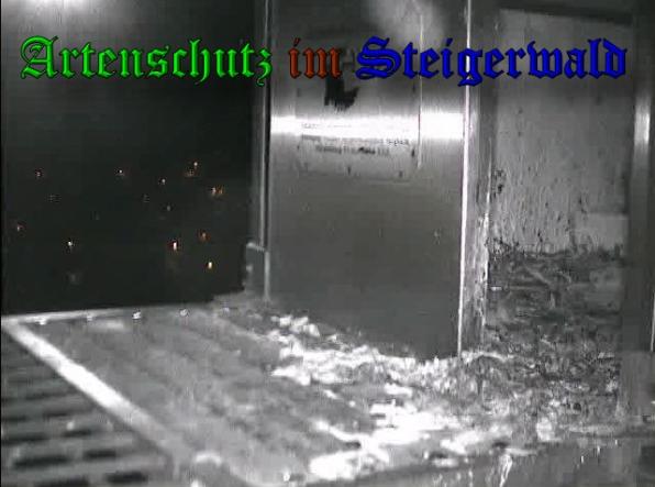 Copyright AiS-Wörner Bild zum Eintrag (37315-160)