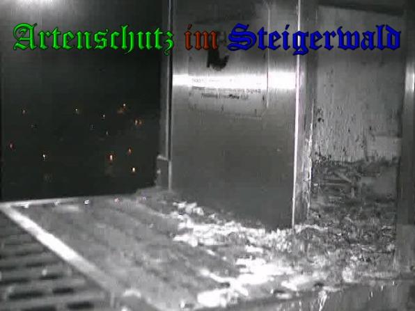 Copyright AiS-Wörner Bild zum Eintrag (37316-160)