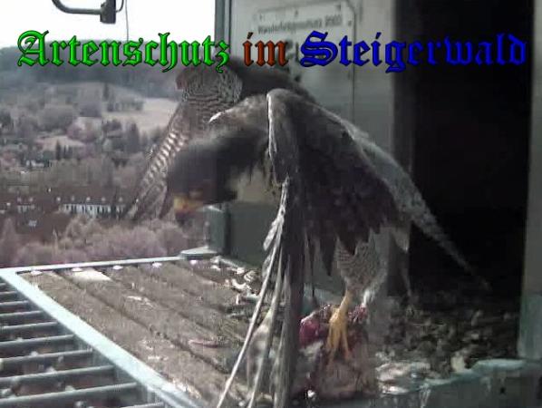 Copyright AiS-Wörner Bild zum Eintrag (37318-160)