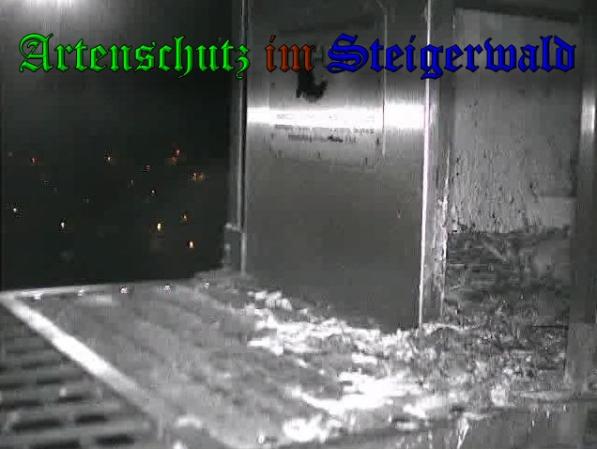 Copyright AiS-Wörner Bild zum Eintrag (37322-160)