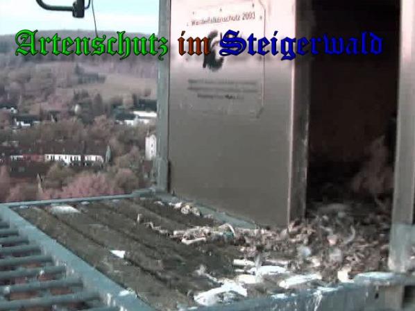 Copyright AiS-Wörner Bild zum Eintrag (37346-160)