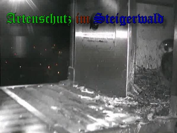 Copyright AiS-Wörner Bild zum Eintrag (37347-160)
