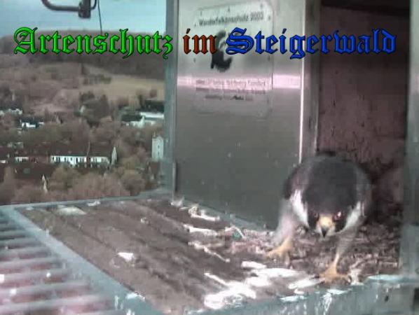 Copyright AiS-Wörner Bild zum Eintrag (37412-160)