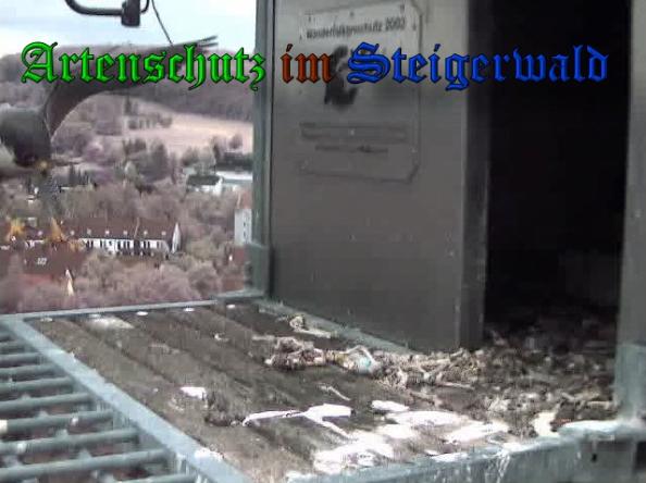 Copyright AiS-Wörner Bild zum Eintrag (37415-160)