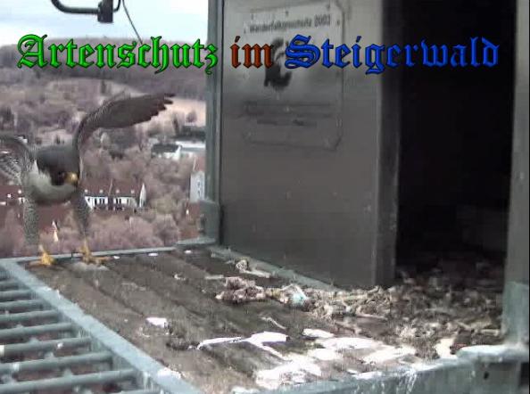 Copyright AiS-Wörner Bild zum Eintrag (37416-160)