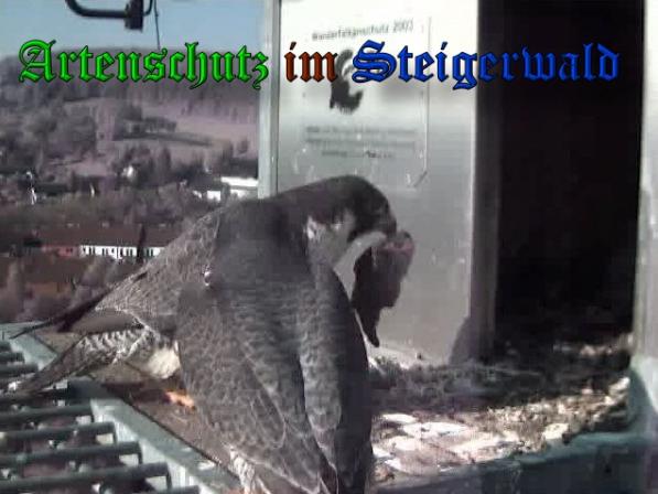 Copyright AiS-Wörner Bild zum Eintrag (37421-160)