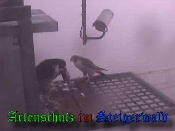 Copyright AiS-Wörner Bild zum Eintrag (37422-160)