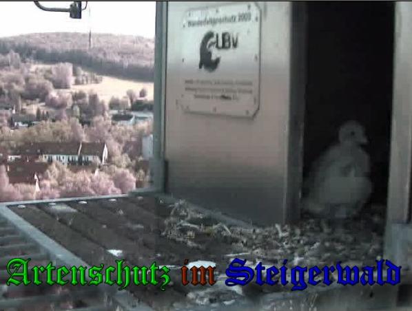 Copyright AiS-Wörner Bild zum Eintrag (37470-160)
