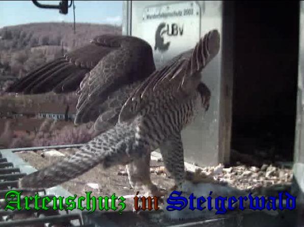 Copyright AiS-Wörner Bild zum Eintrag (37471-160)