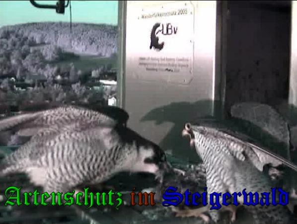 Copyright AiS-Wörner Bild zum Eintrag (37473-160)