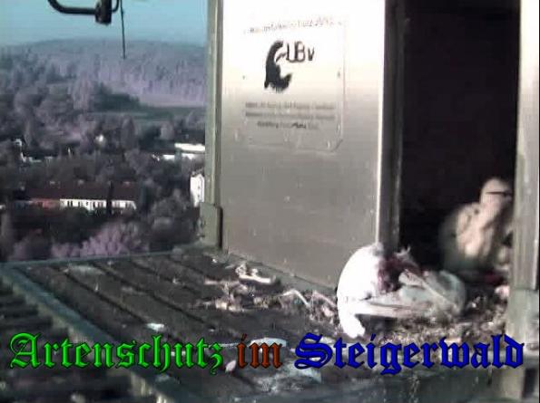 Copyright AiS-Wörner Bild zum Eintrag (37474-160)