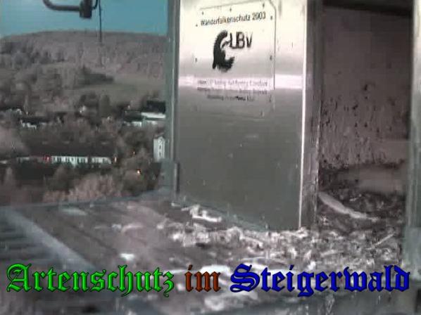 Copyright AiS-Wörner Bild zum Eintrag (37476-160)