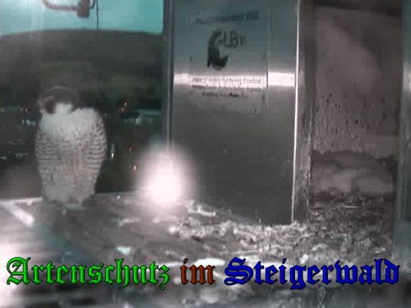 Copyright AiS-Wörner Bild zum Eintrag (37477-160)