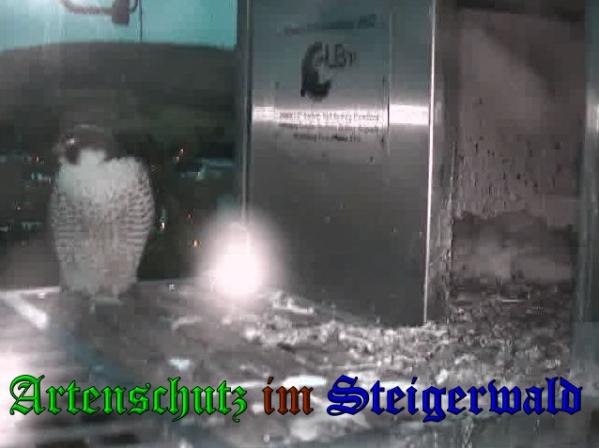 Copyright AiS-Wörner Bild zum Eintrag (37478-160)