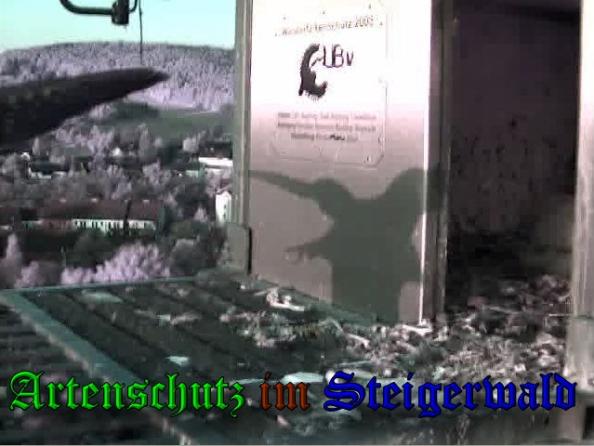 Copyright AiS-Wörner Bild zum Eintrag (37479-160)