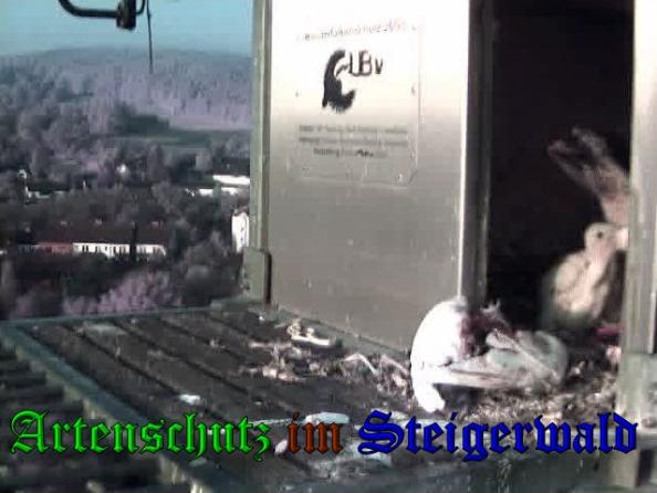 Copyright AiS-Wörner Bild zum Eintrag (37483-160)