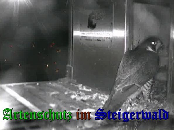 Copyright AiS-Wörner Bild zum Eintrag (37485-160)