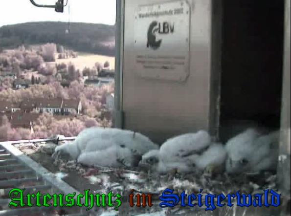Copyright AiS-Wörner Bild zum Eintrag (37576-160)