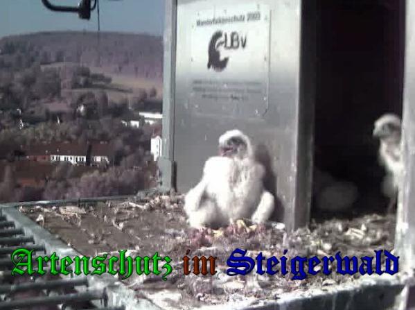 Copyright AiS-Wörner Bild zum Eintrag (37627-160)