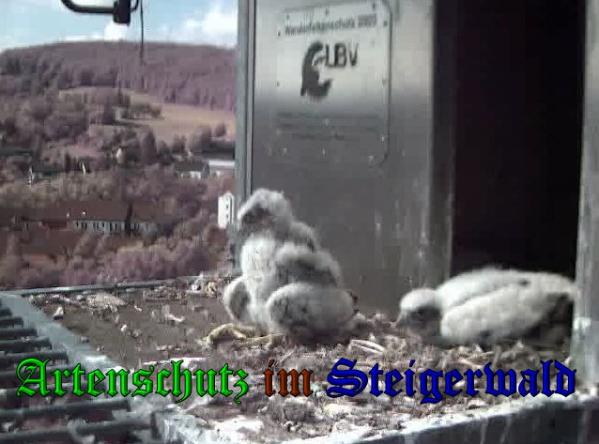 Copyright AiS-Wörner Bild zum Eintrag (37629-160)