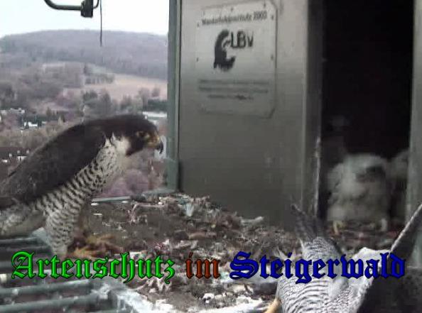 Copyright AiS-Wörner Bild zum Eintrag (37635-160)