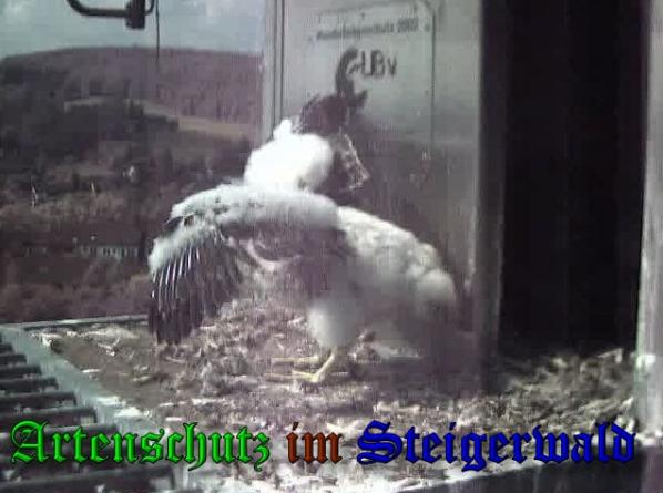 Copyright AiS-Wörner Bild zum Eintrag (37688-160)
