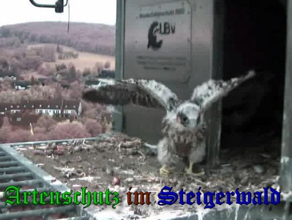 Copyright AiS-Wörner Bild zum Eintrag (37690-160)