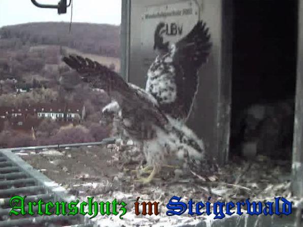 Copyright AiS-Wörner Bild zum Eintrag (37723-160)