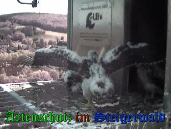 Copyright AiS-Wörner Bild zum Eintrag (37724-160)