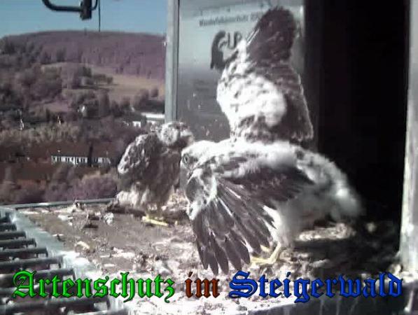 Copyright AiS-Wörner Bild zum Eintrag (37725-160)