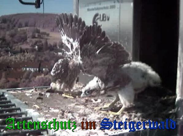 Copyright AiS-Wörner Bild zum Eintrag (37726-160)