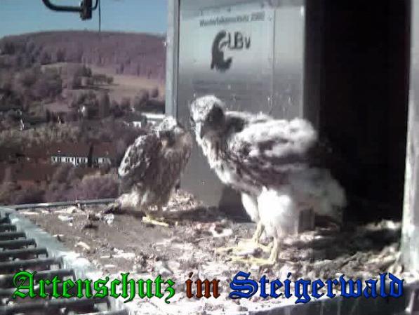 Copyright AiS-Wörner Bild zum Eintrag (37727-160)