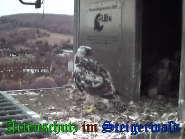Copyright AiS-Wörner Bild zum Eintrag (37729-160)
