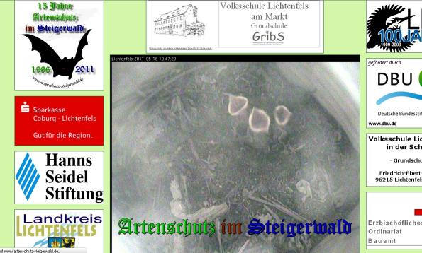 Bild zum Eintrag (37751-160)