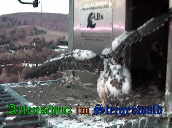 Copyright AiS-Wörner Bild zum Eintrag (37783-160)