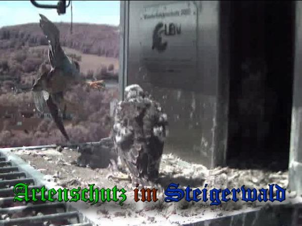 Copyright AiS-Wörner Bild zum Eintrag (37786-160)