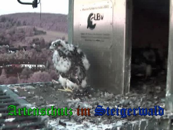 Copyright AiS-Wörner Bild zum Eintrag (37787-160)