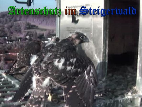 Copyright AiS-Wörner Bild zum Eintrag (37971-160)