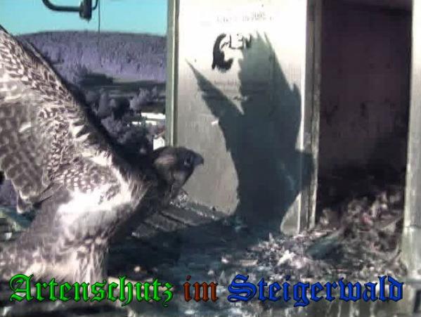 Copyright AiS-Wörner Bild zum Eintrag (38075-160)