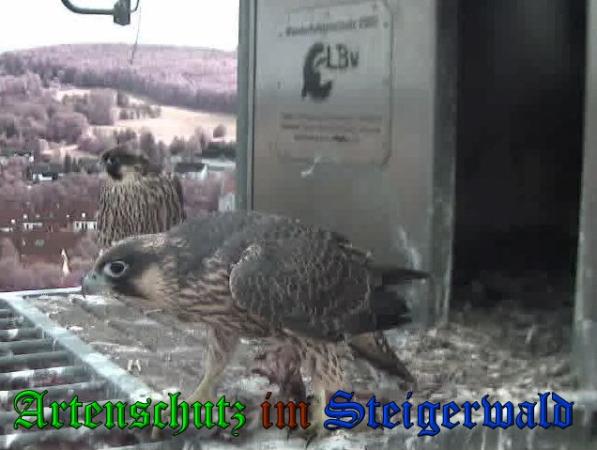 Copyright AiS-Wörner Bild zum Eintrag (38076-160)