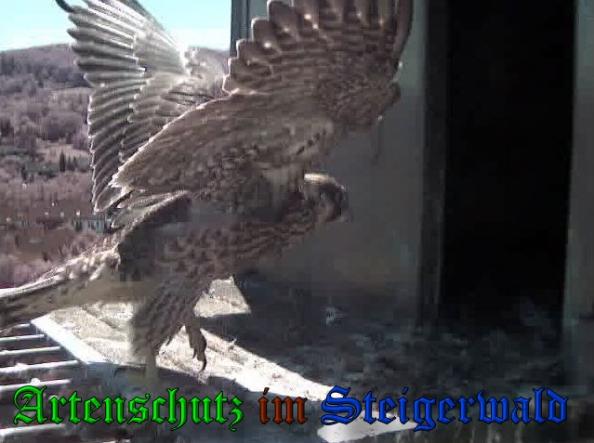 Copyright AiS-Wörner Bild zum Eintrag (38078-160)