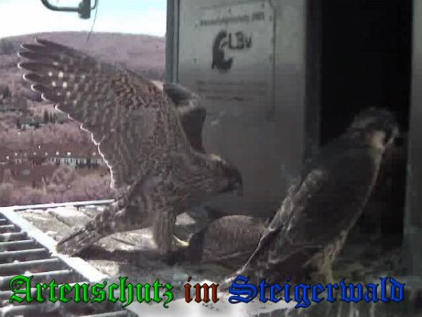 Copyright AiS-Wörner Bild zum Eintrag (38080-160)