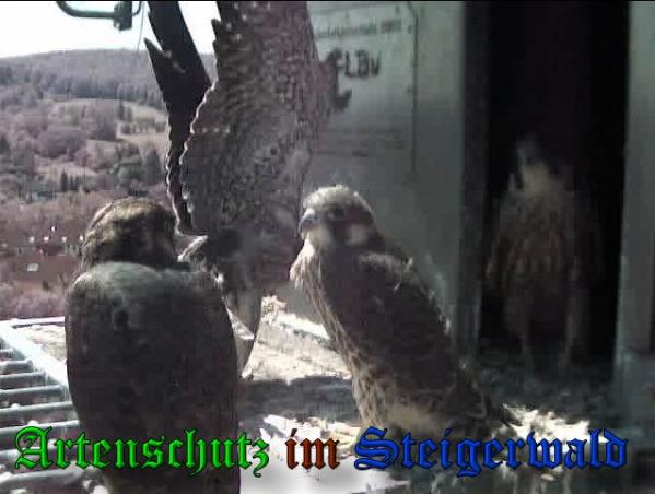 Copyright AiS-Wörner Bild zum Eintrag (38081-160)